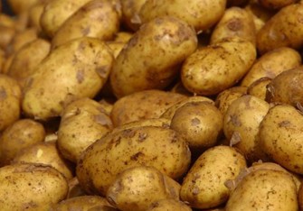 Kartof qıtlığının səbəbləri açıqlandı