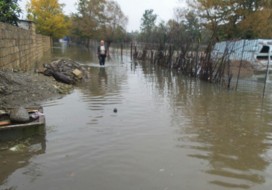 Mingəçevirdə 100-dən çox evi su basdı