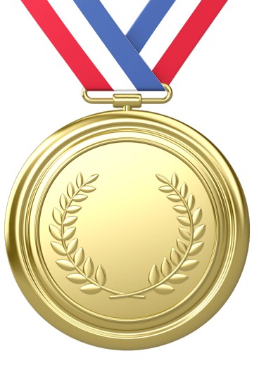 Bir ilə 28 medal