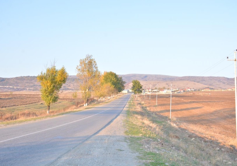 Nəsiminin Vətəni Şamaxıda 50 minədək ağac əkiləcək