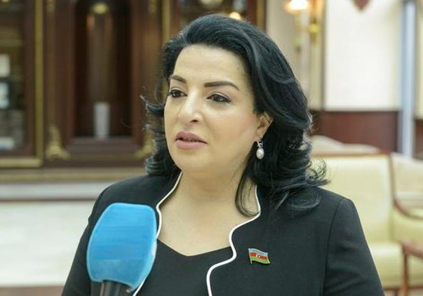 “Azərbaycan diasporunun işinin daha da səmərəli aparılması üçün beynəlxalq dəstək fondu yaradılmalıdır”