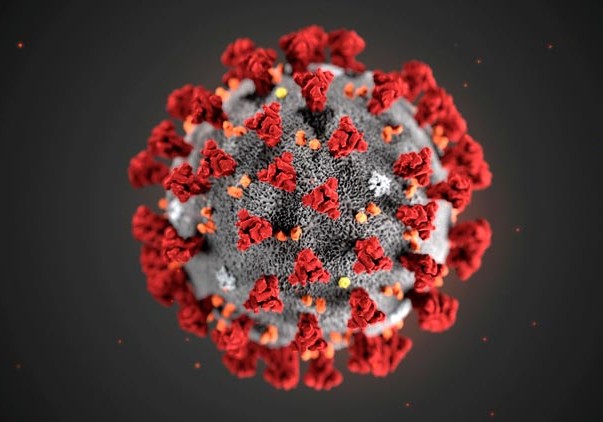 Koronavirusun ağır formasının ən zəruri əlaməti aşkarlandı
