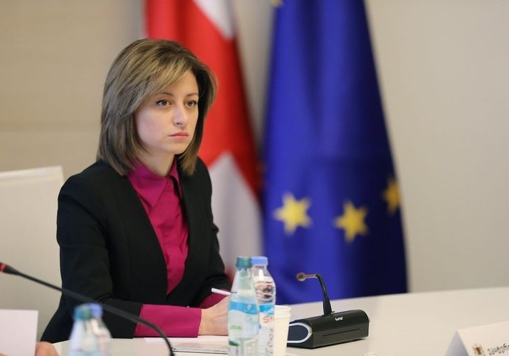 Gürcüstanın Səhiyyə naziri: “Erməni həmkarımın açıqlaması arqumentlərdən məhrumdur”