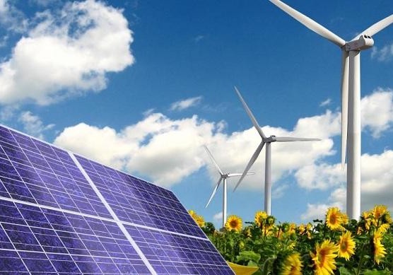 Bərpa olunan enerji sahəsinin inkişafı birinci yarımildə prioritet olub
