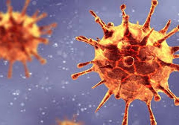 TƏBİB: Koronavirusun yeni ştammının aşkarlanması üçün araşdırmalar xaricdəki metodlar əsasında aparılacaq