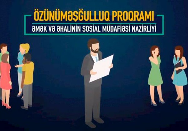 “Məşğulluğa Dəstək Layihəsi” üzrə müraciətlərin qəbuluna başlanılıb - VİDEOTƏLİMAT