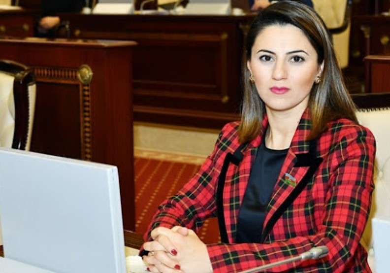 Deputat: Beynəlxalq birlik, o cümlədən Avropa Parlamentinin nümayəndələri Ermənistana təzyiq etməlidirlər
