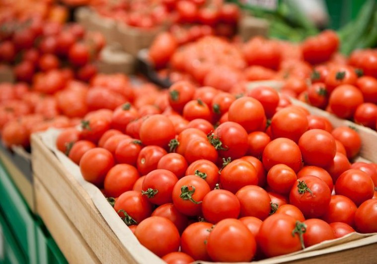 AQTA: Ümumilikdə 126 müəssisədən Rusiyaya pomidor ixracına icazə verilib