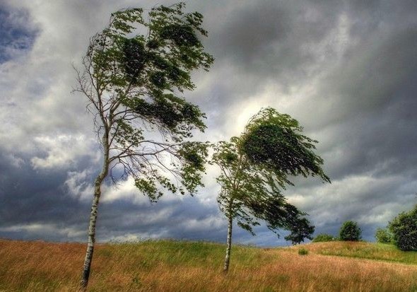 Hava şəraiti kəskin dəyişəcək, temperatur 10 dərəcə enəcək - XƏBƏRDARLIQ