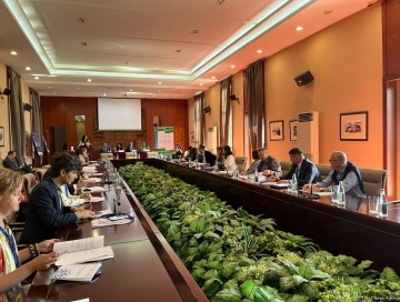 Dünya mədəni irsi bir sıra çağırışlarla üz-üzədir - ICOMOS-un prezidenti