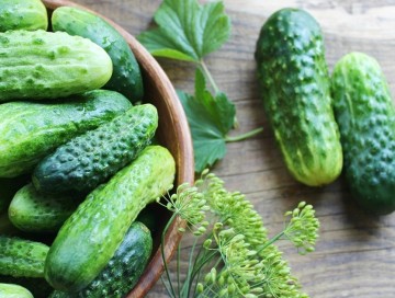 Xiyar yaşlı insanlarda bağırsağın fəaliyyətini yaxşılaşdırır