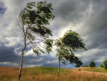 Hava şəraiti kəskin dəyişəcək, temperatur 10 dərəcə enəcək - XƏBƏRDARLIQ