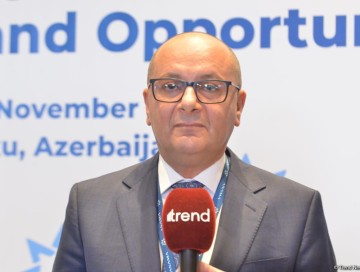 ANAMA sədri mina partlayışları ilə bağlı vətəndaşlara müraciət edib